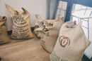 Roaster's Choice Monthly Subscription