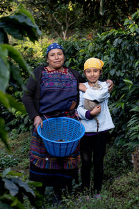 María Velasquez Micro Lot