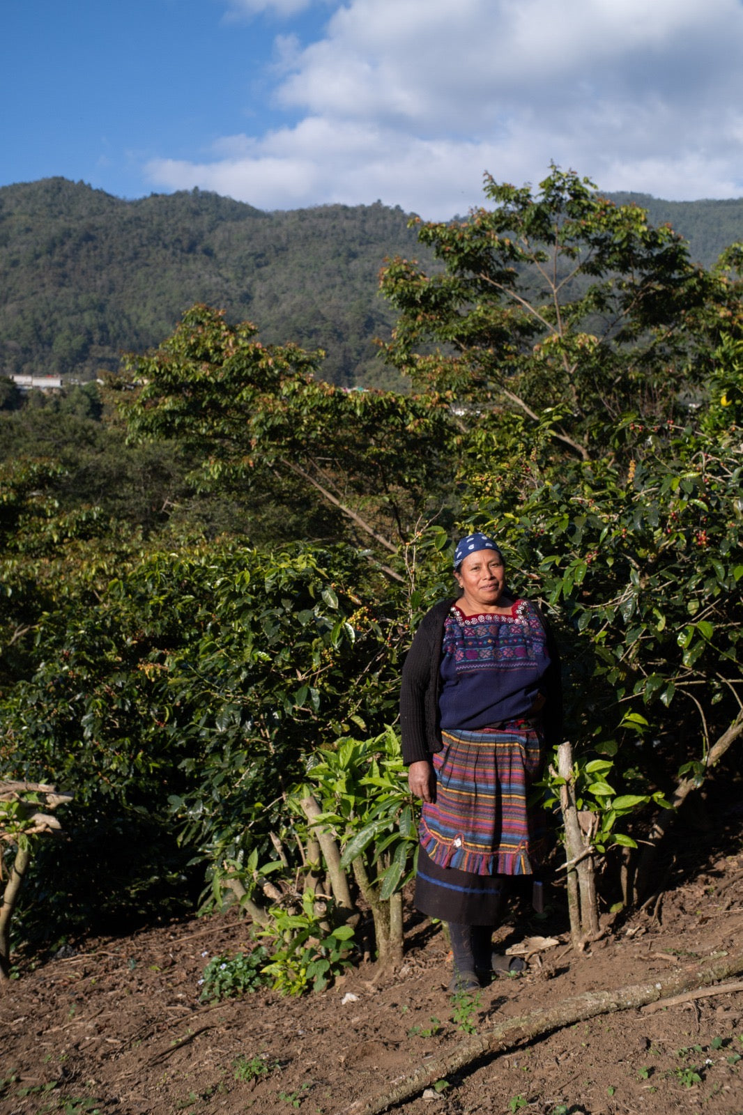 María Velasquez Micro Lot