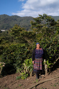 María Velasquez Micro Lot